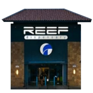 Reef